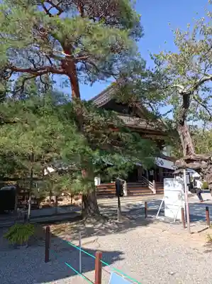 座光如来寺(元善光寺)の本殿・本堂