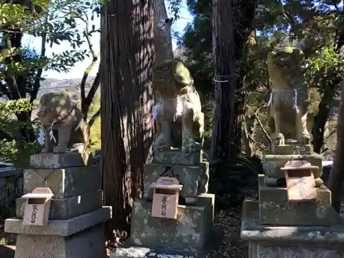 椎宮八幡神社の狛犬