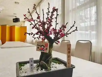 彌彦神社　(伊夜日子神社)の芸術