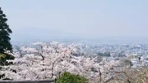 白毫寺の自然