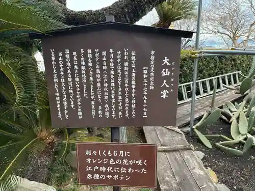 龍華寺(静岡県)