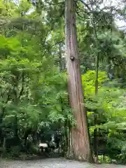 東林寺(三重県)