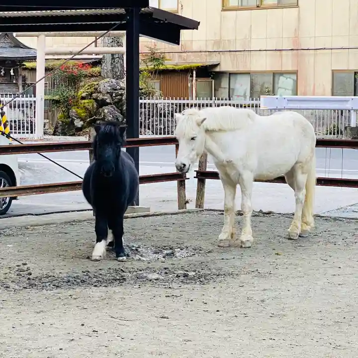 丹生川上神社(下社)(奈良県)