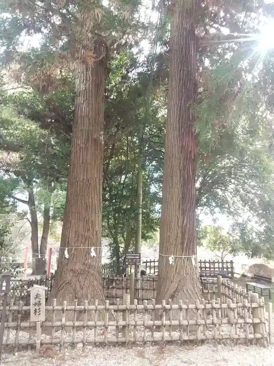 大田原神社(栃木県)