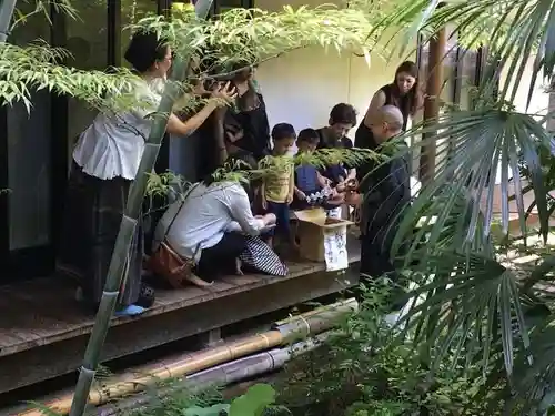 遠照山 光明寺（尼崎大仏）(兵庫県)