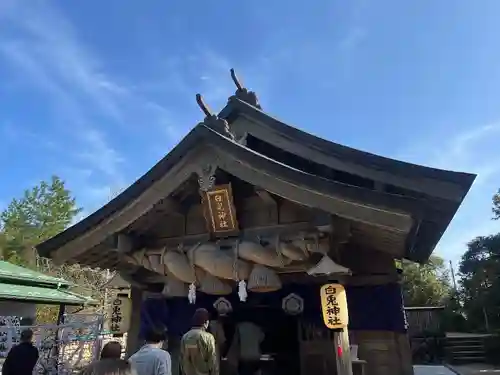 白兎神社の本殿・本堂