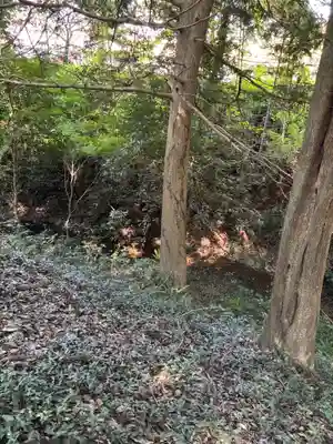 智賀都神社(栃木県)