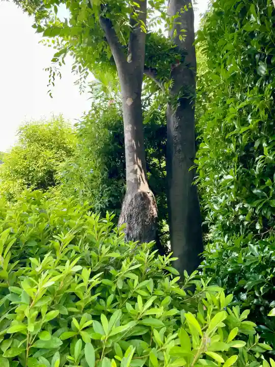 慈眼寺(神奈川県)