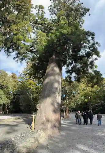 伊勢神宮外宮（豊受大神宮）(三重県)