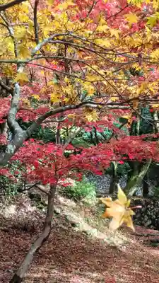 鶏足寺(滋賀県)