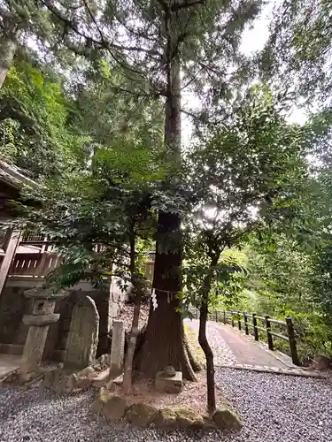 葛神社(奈良県)