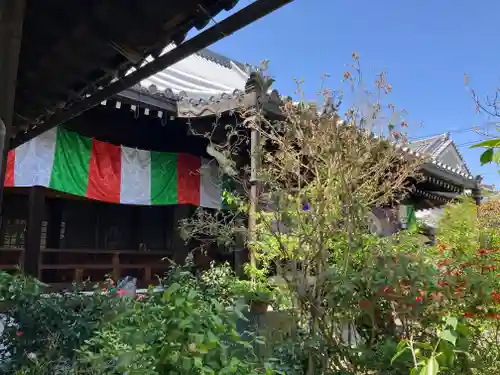 妙慶寺(大阪府)