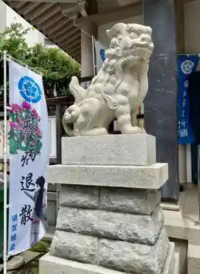 須賀神社の狛犬