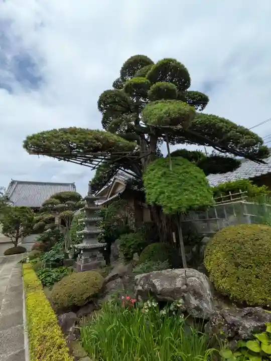 松應寺(東京都)