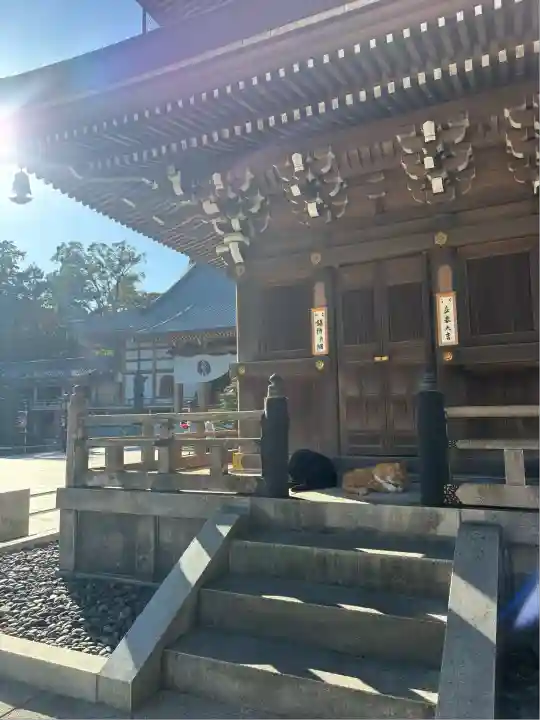 豊川閣 妙厳寺(愛知県)