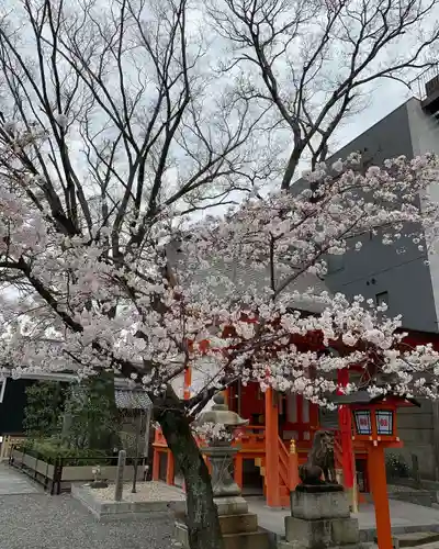 安井金比羅宮の自然