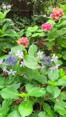 筥崎宮(福岡県)