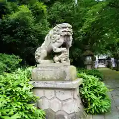 神炊館神社 ⁂奥州須賀川総鎮守⁂の狛犬