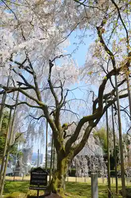 足羽神社(福井県)
