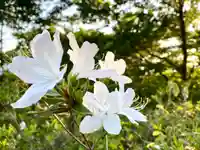 和神社(長野県)