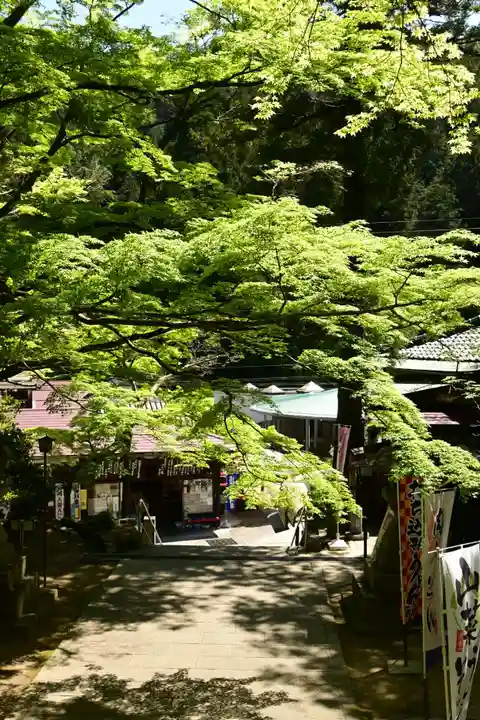 大窪寺(香川県)