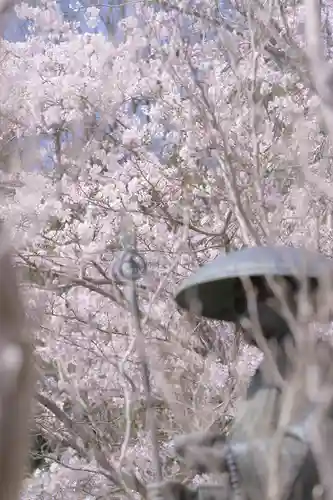 神谷稲荷明神社の自然