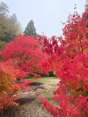 光信寺(広島県)