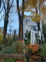 秩父今宮神社(埼玉県)