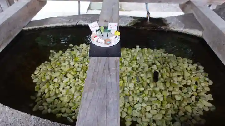 甲斐國一宮 浅間神社(山梨県)