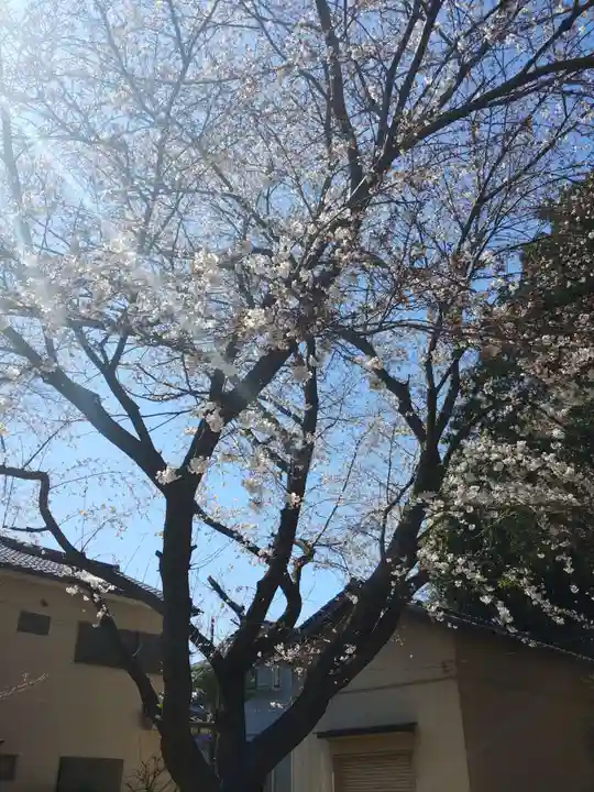 雀ノ森氷川神社の自然