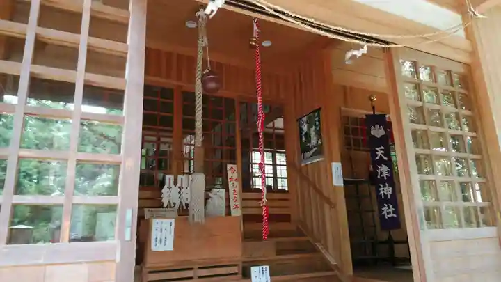 天津神社の本殿・本堂