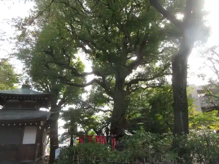 大福生寺(東京都)