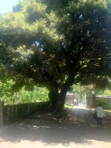 湯島聖堂(東京都)