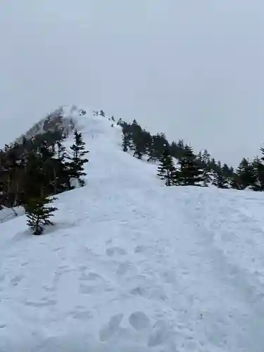 山家神社奥宮の自然