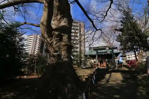 愛宕神社の景色
