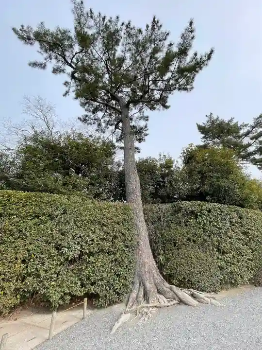 平等院(京都府)