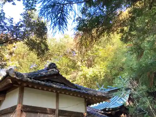 天志良波神社(茨城県)