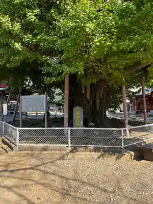 千葉寺(千葉県)