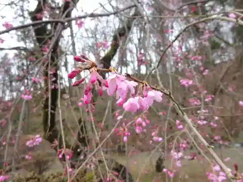 常昌院(神奈川県)
