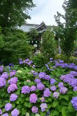 白山神社(東京都)