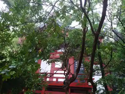 東神奈川熊野神社の本殿・本堂