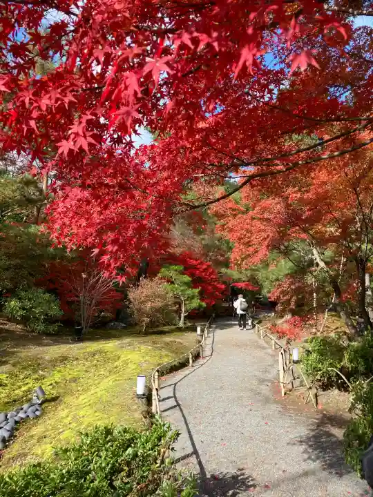 宝厳院(京都府)