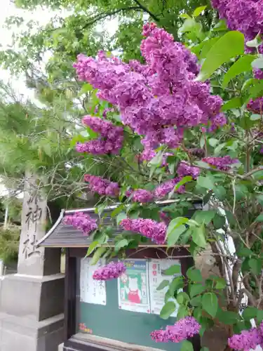 信濃神社の自然