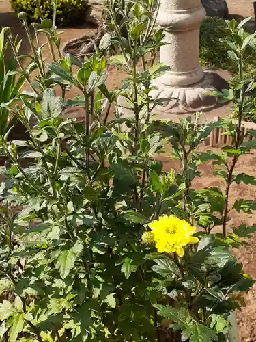 伏木香取神社の自然
