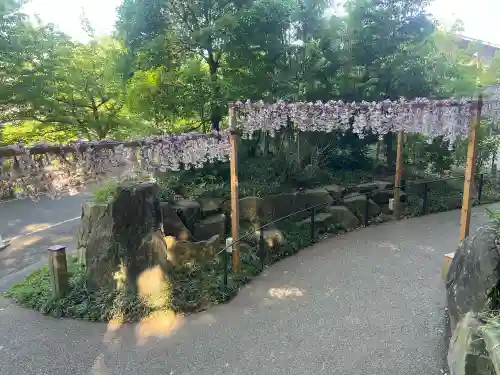 川越氷川神社の{uncategorized: "未分類", other: "その他", undefined: "問題あり", building: "その他建物", grave: "お墓", sacred_gate: "鳥居", guardian: "狛犬", statue: "像", buddha: "仏像", history: "歴史", nature: "自然", garden: "庭園", animal: "動物", pagoda: "塔", temizu: "手水舎", mountain_gate: "山門・神門", sanctuary: "本殿・本堂", subordinate: "末社・摂社", art: "芸術", scenery: "景色", jizo: "地蔵", ema: "絵馬", goshuin: "御朱印", omikuji: "おみくじ", items: "授与品その他", amulet: "お守り", goshuincho: "御朱印帳", eats: "食事", festival: "お祭り", votive_dance: "神楽", shichigosan: "七五三参", wedding: "結婚式", experience: "体験その他", initially: "初詣", around: "周辺", anti_infection: "感染症対策"}