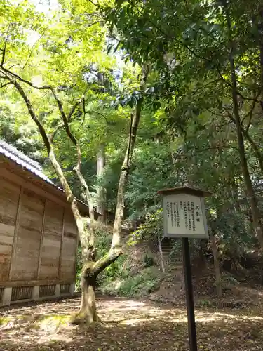 八幡神社(福井県)