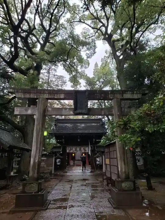 赤坂氷川神社の鳥居