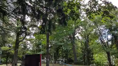 花岡神社の自然