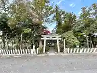 白鬚神社(滋賀県)