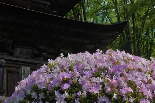 国宝 大法寺の庭園